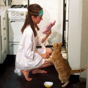 Meet your Posher, Kathryn